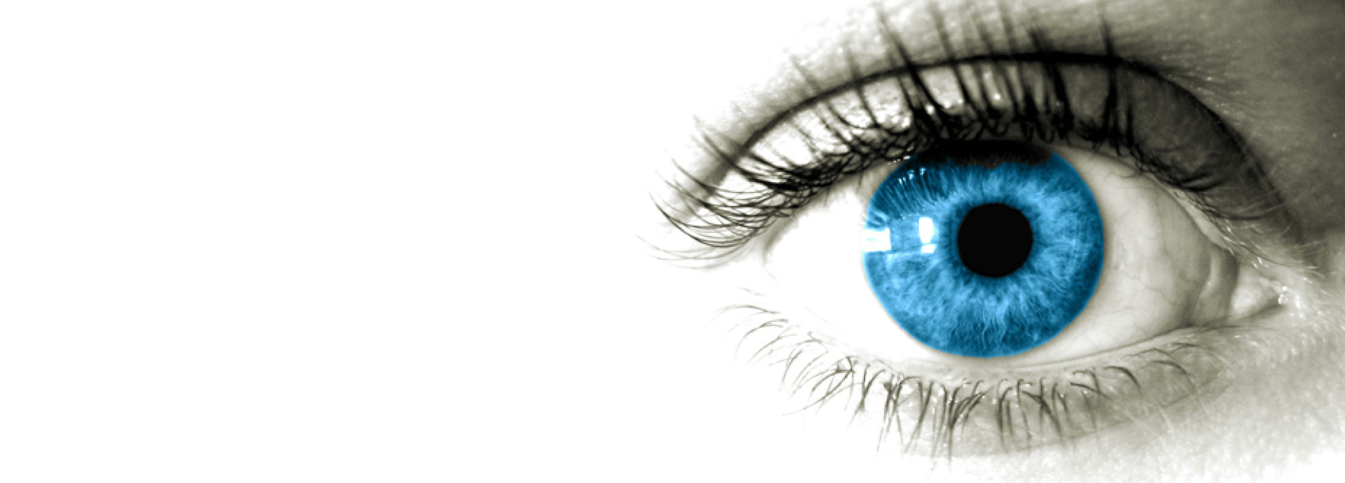 Have Allergies? Need Bifocals or Astigmatism Lenses? Try our "FREE CONTACT TEST DRIVE"